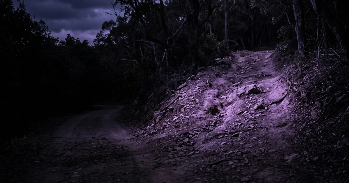 Camino de tierra en penumbra púrpura: a la derecha, una cuesta empinada y pedregosa con raíces y piedras sueltas iluminada; a la izquierda, un camino llano que se pierde en la sombra