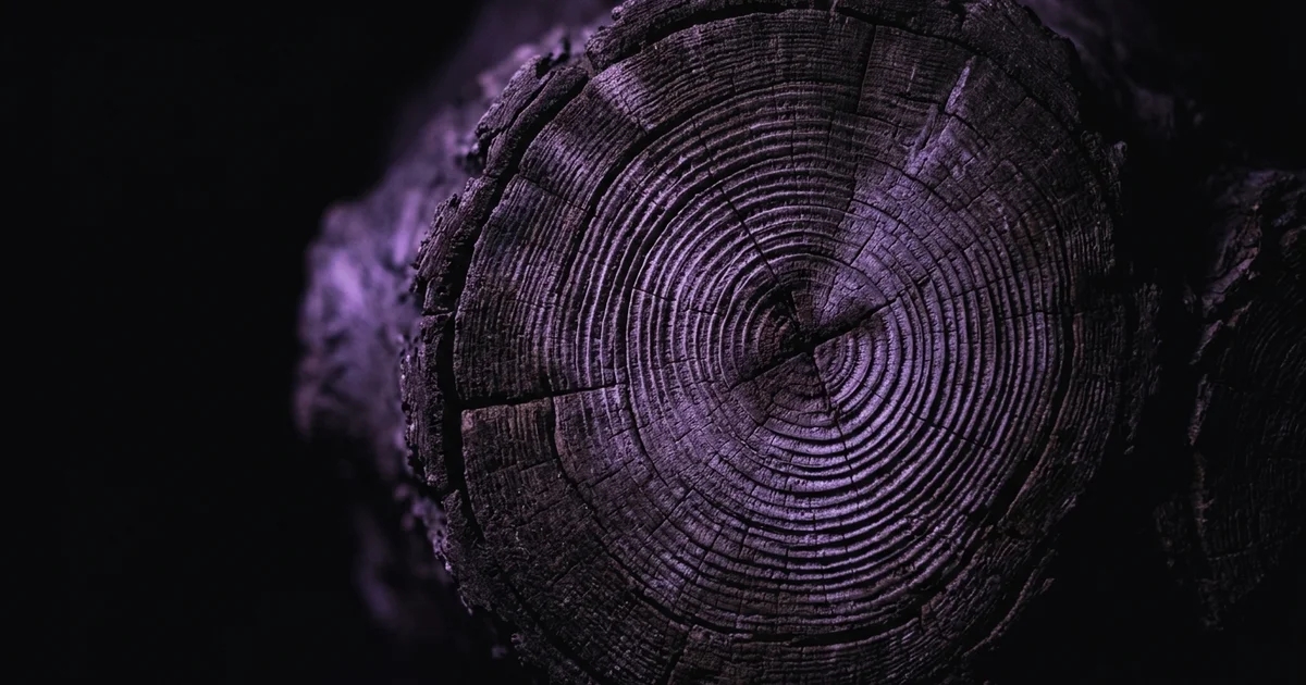 Sección transversal de un tronco de árbol con anillos concéntricos, iluminada en púrpura sobre fondo negro